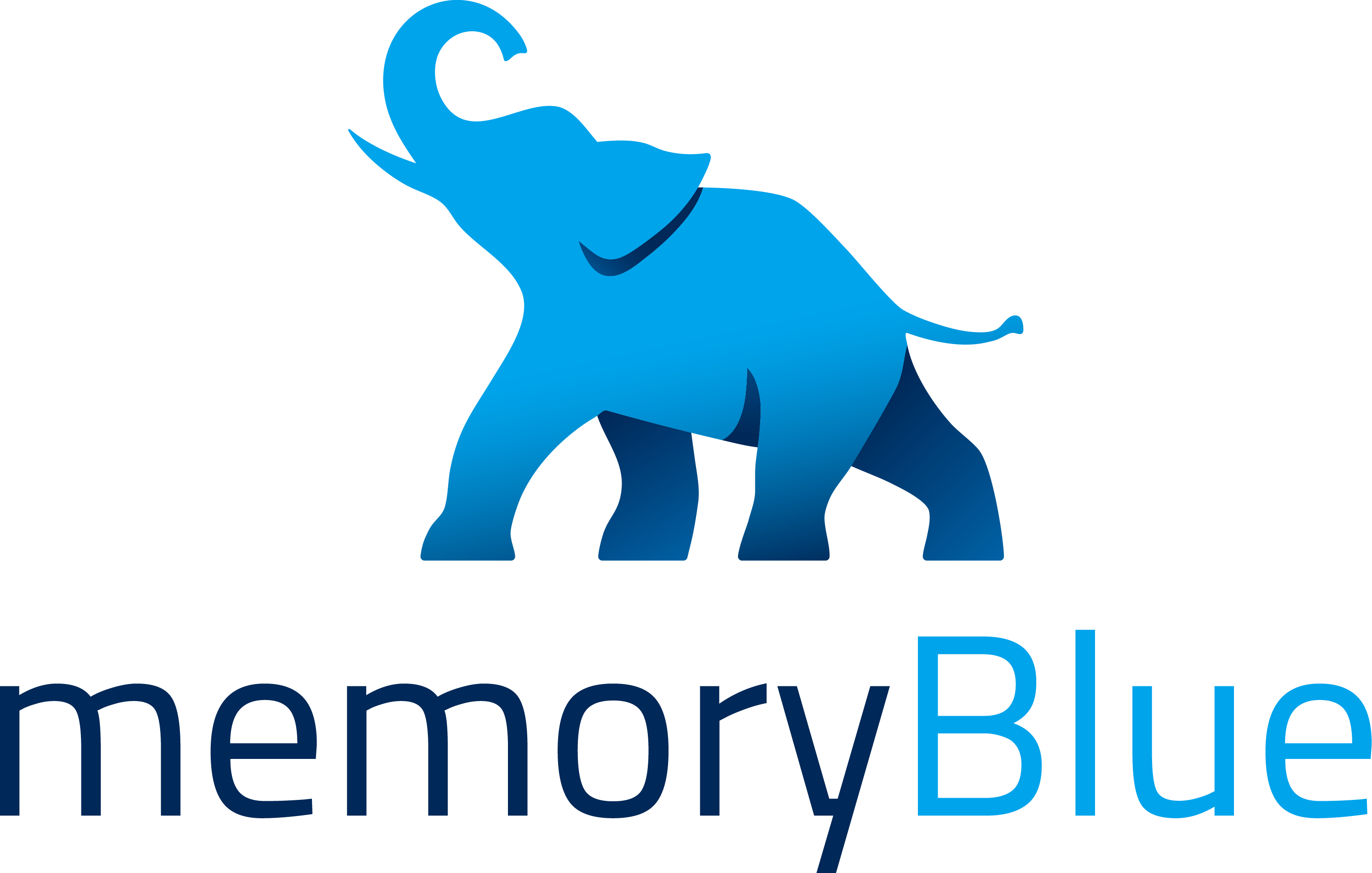 memoryBlue